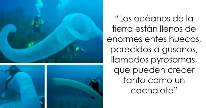 20 Datos espeluznantes no aptos para débiles de corazón