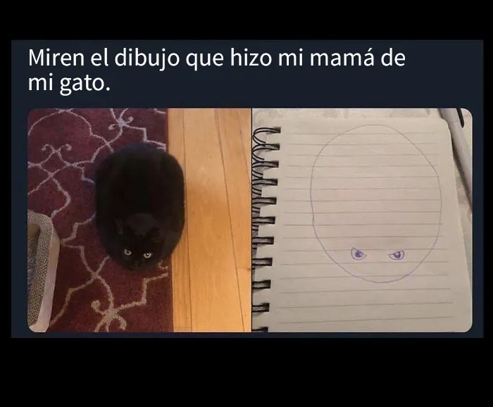 20 Acertados memes sobre gatos que muestran cómo es convivir con ellos