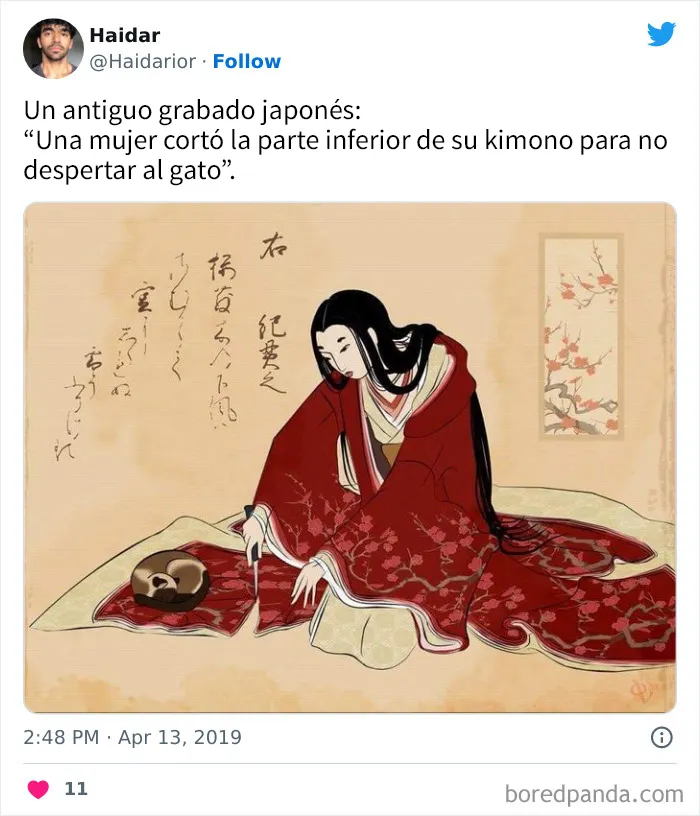 20 Acertados memes sobre gatos que muestran cómo es convivir con ellos
