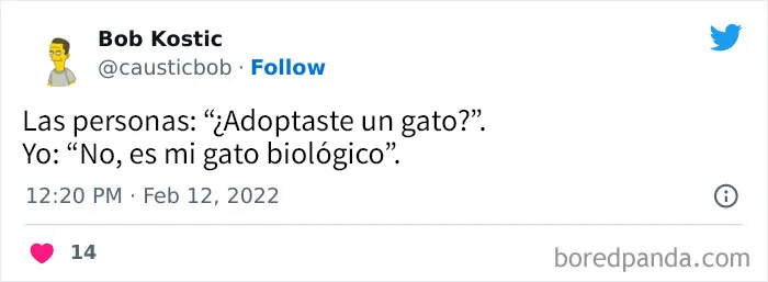 20 Acertados memes sobre gatos que muestran cómo es convivir con ellos