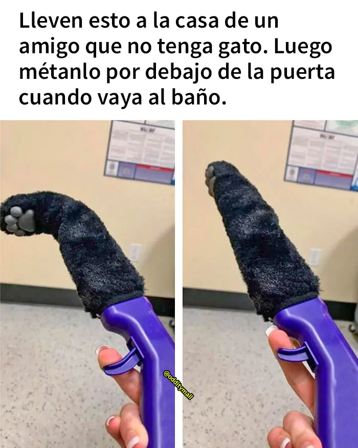 ¡Un genio!