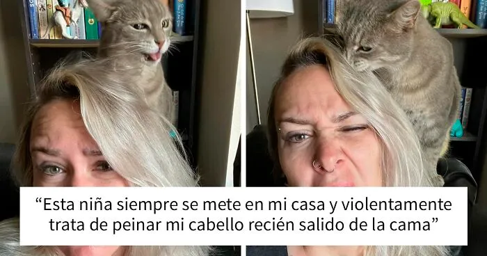 «Esta es mi casa, pero ese no es mi gato»: 30 fotos que te encantarán si te gustaría que apareciera un gato desconocido en tu casa