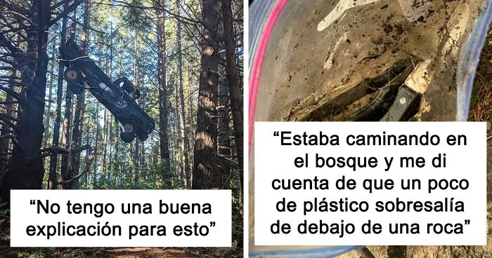 40 Hallazgos tan insólitos como inesperados en mitad del bosque