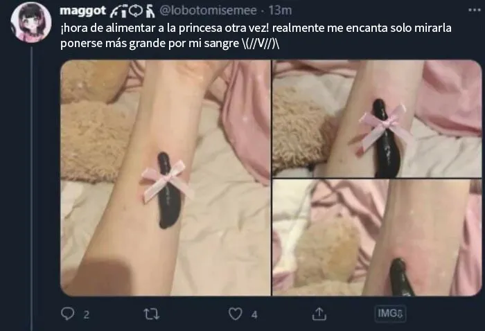 20 De los peores y más vergonzosos tuits que se puedan encontrar en esa red social