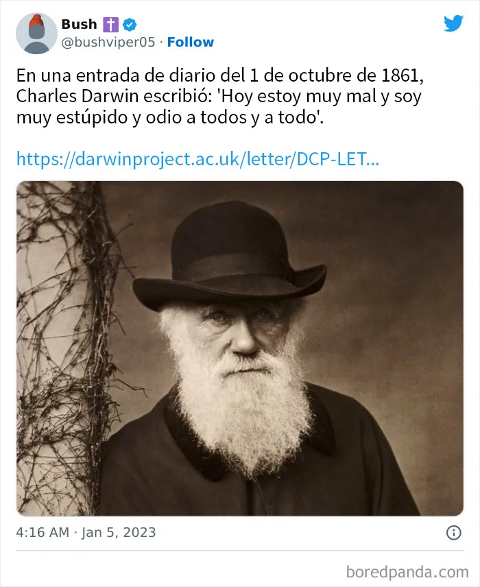 20 Divertidos tuits dedicados a los que les gusta el humor "ofensivo de buen gusto"