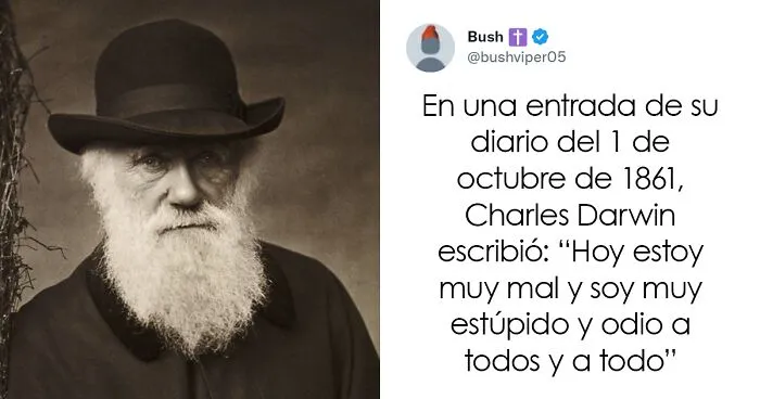 20 Divertidos tuits dedicados a los que les gusta el humor "ofensivo de buen gusto"