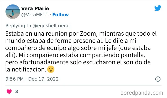 20 Vergonzosos fallos en reuniones de Zoom compartidos por quienes están hartos de videollamadas