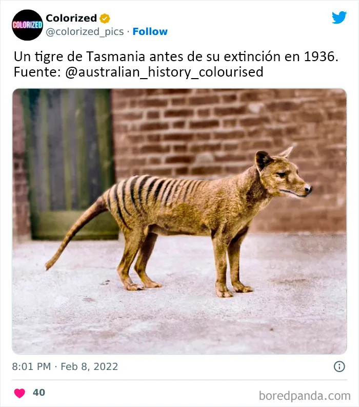 25 Impresionantes fotos históricas coloreadas que ofrecen una nueva perspectiva de tiempos pasados