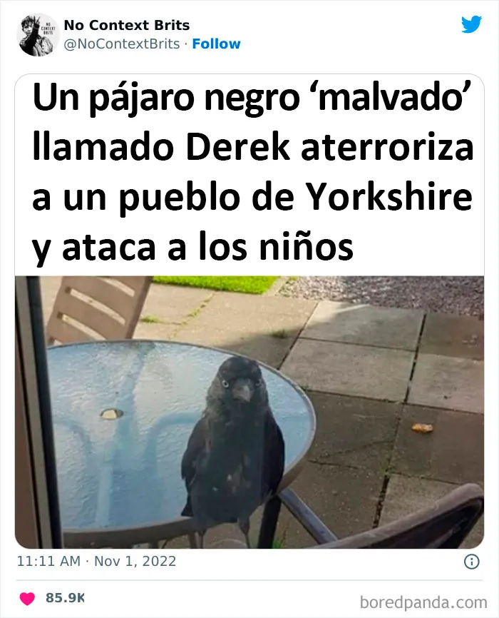 20 Nuevas imágenes británicas fuera de contexto pero realmente divertidas