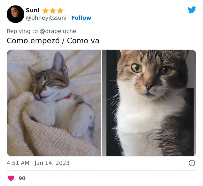 40 Adorables fotos de mascotas comparando su aspecto actual con el que tenían cuando llegaron a sus dueños