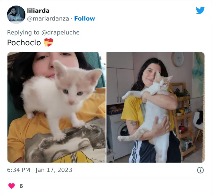 40 Adorables fotos de mascotas comparando su aspecto actual con el que tenían cuando llegaron a sus dueños