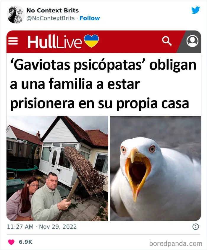 20 Nuevas imágenes británicas fuera de contexto pero realmente divertidas