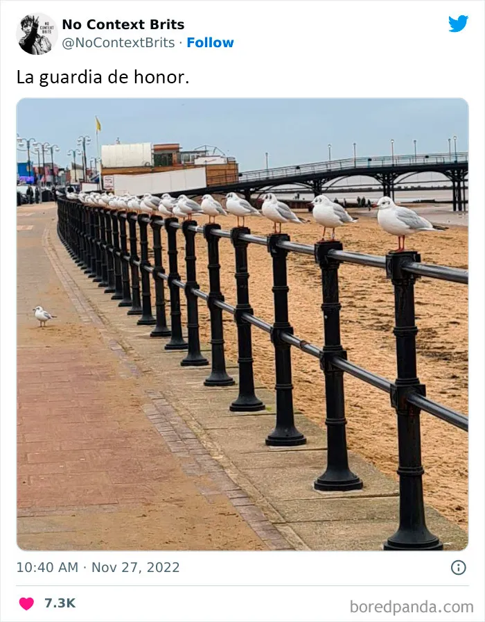 20 Nuevas imágenes británicas fuera de contexto pero realmente divertidas