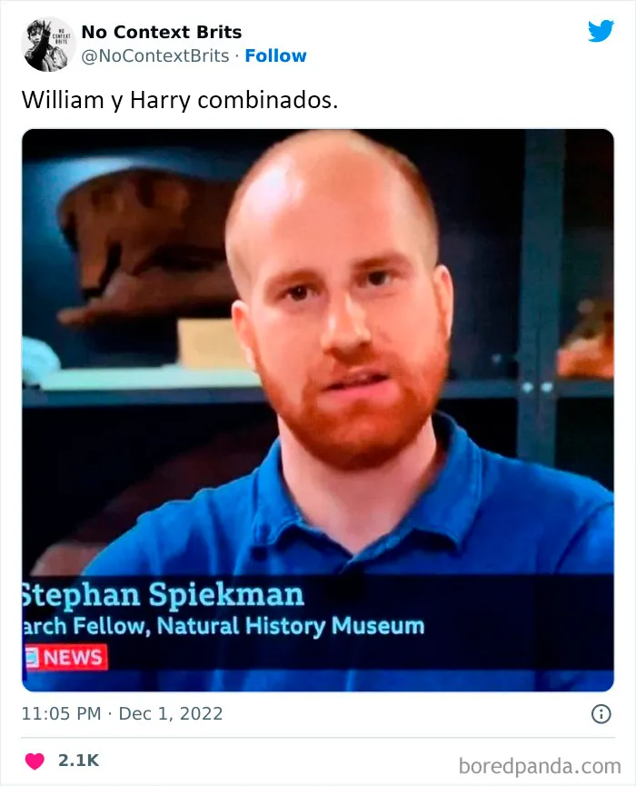 20 Nuevas imágenes británicas fuera de contexto pero realmente divertidas