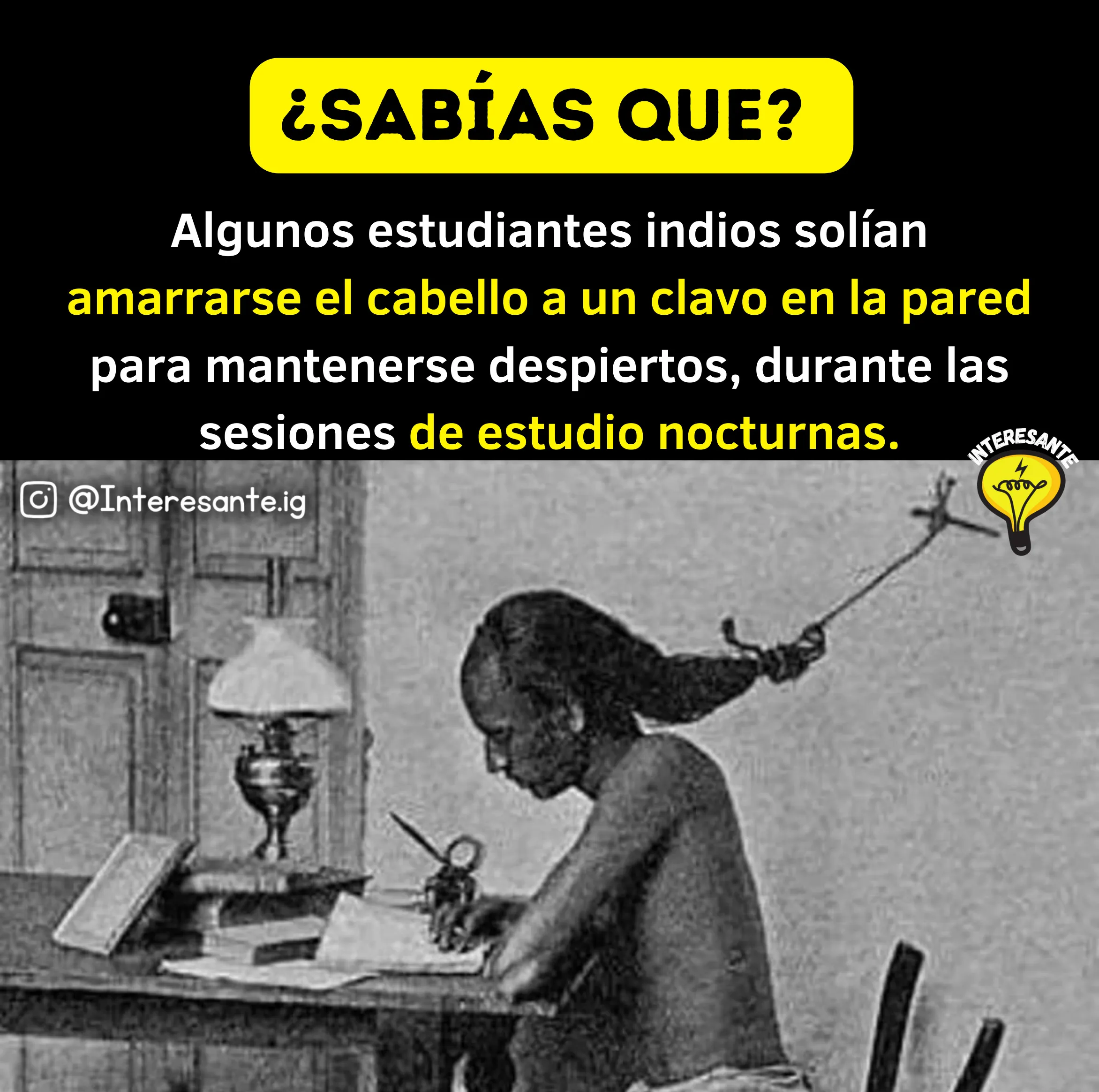 Datos Curiosos Que Ampliarán Tu Intelecto! 🤯🌎🧠