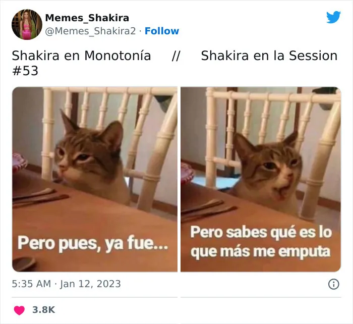 20 Divertidos memes y reacciones ante la nueva canción de Shakira y Bizarrap