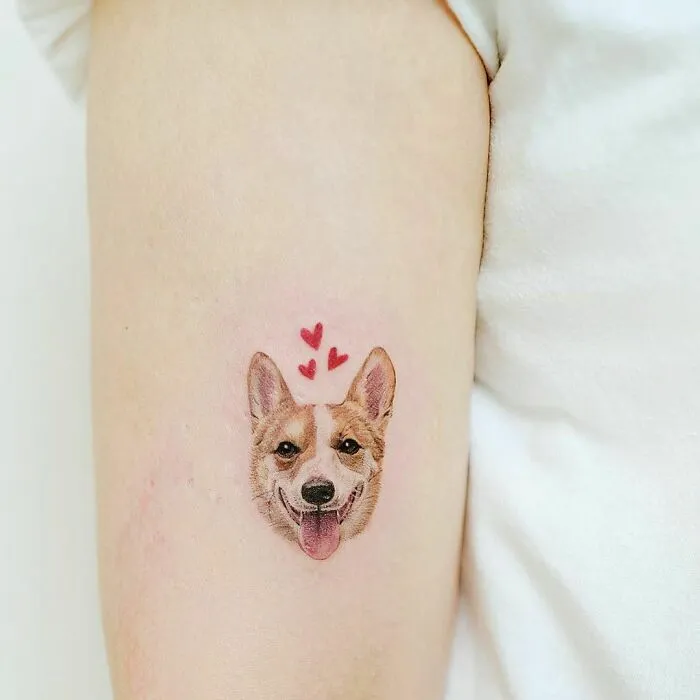 Corgi