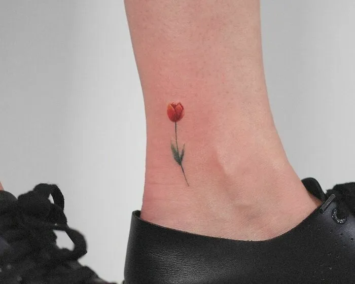 Tulipán