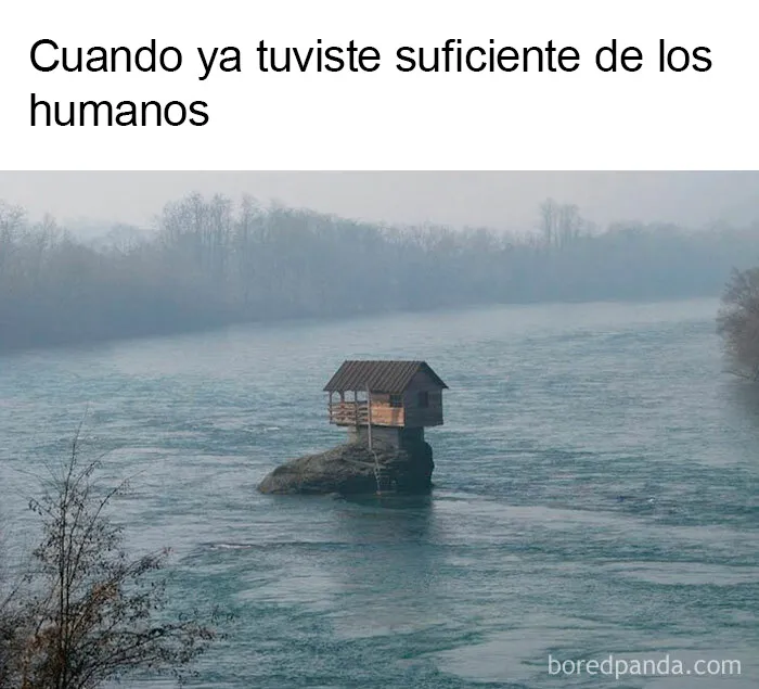 20 Divertidos memes "antisociales" compartidos en instagram