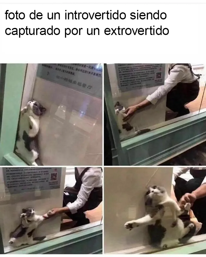 20 Divertidos memes "antisociales" compartidos en instagram