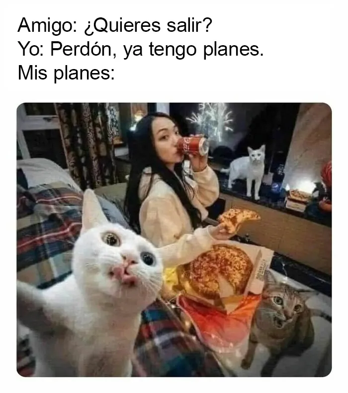 20 Divertidos memes "antisociales" compartidos en instagram
