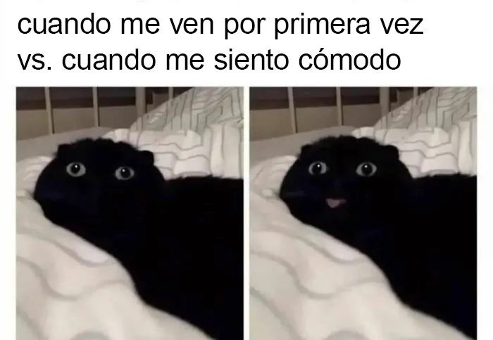 20 Divertidos memes "antisociales" compartidos en instagram