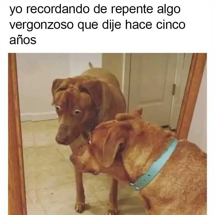 20 Divertidos memes "antisociales" compartidos en instagram