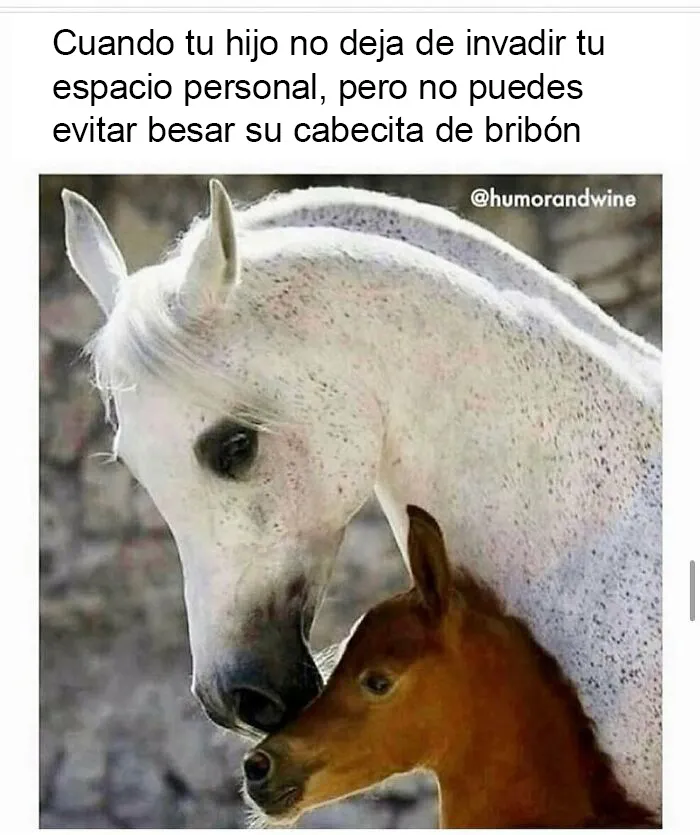 20 Publicaciones divertidas sobre la realidad del matrimonio y ser padres