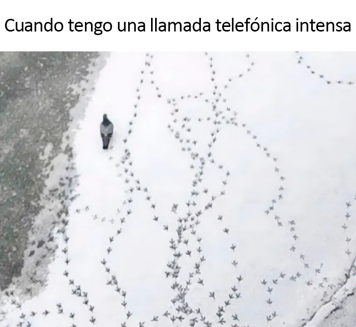 Esta cuenta de Instagram comparte fotos sin contexto y estas son 30 de las más divertidas