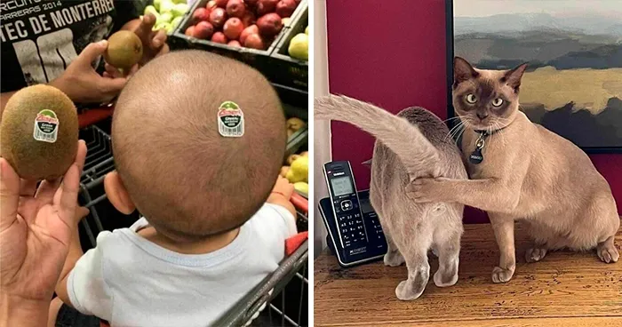 Esta cuenta de Instagram comparte fotos sin contexto y estas son 30 de las más divertidas