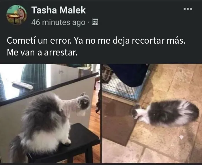 20 Capturas de pantalla que te hacen decir "hmmm" y había que compartir