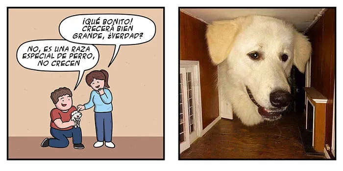 20 Cómics con giros inesperados y finales sorprendentes