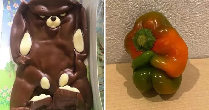 20 Alimentos malditos con auras amenazantes, compartidos en esta página de Instagram
