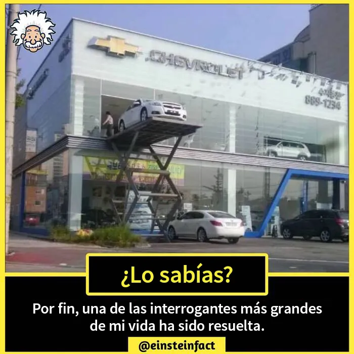 "¿Lo sabías?": 20 datos interesantes sobre el mundo que quizá no aprendiste en la escuela