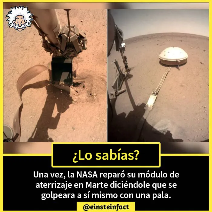 "¿Lo sabías?": 20 datos interesantes sobre el mundo que quizá no aprendiste en la escuela