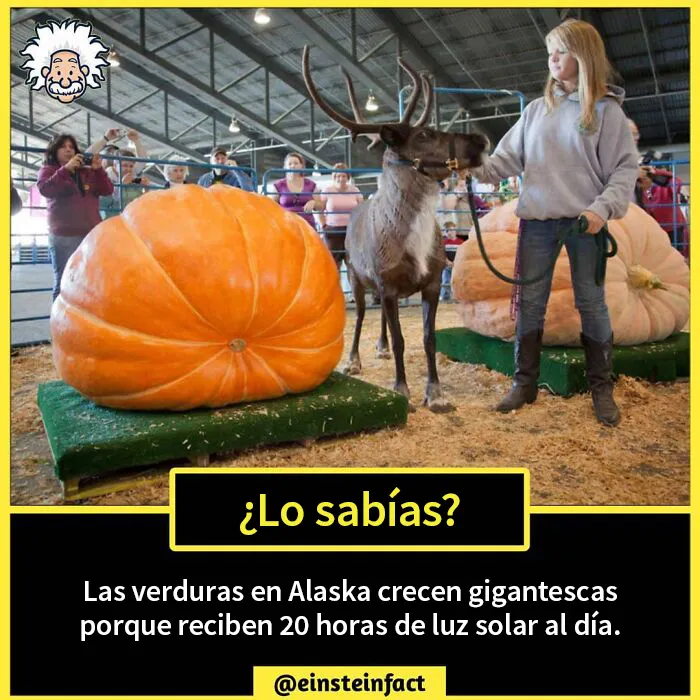 "¿Lo sabías?": 20 datos interesantes sobre el mundo que quizá no aprendiste en la escuela