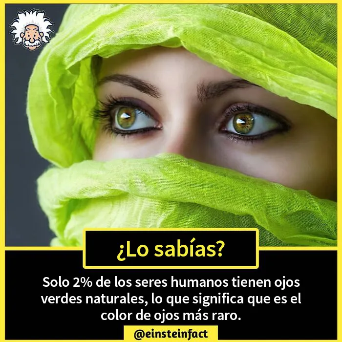 "¿Lo sabías?": 20 datos interesantes sobre el mundo que quizá no aprendiste en la escuela