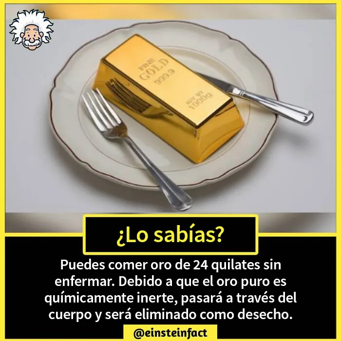 "¿Lo sabías?": 20 datos interesantes sobre el mundo que quizá no aprendiste en la escuela
