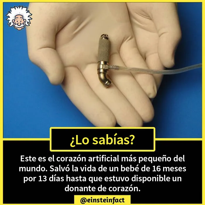 "¿Lo sabías?": 20 datos interesantes sobre el mundo que quizá no aprendiste en la escuela