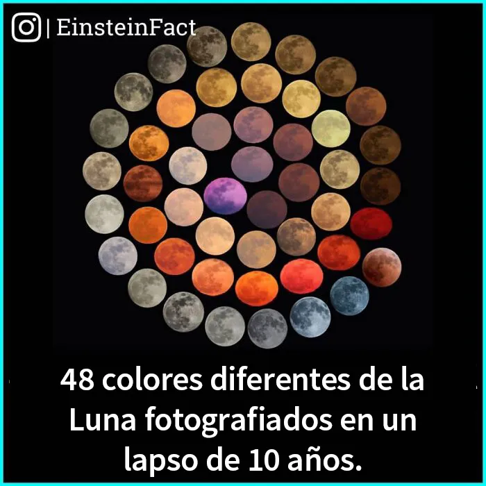 "¿Lo sabías?": 20 datos interesantes sobre el mundo que quizá no aprendiste en la escuela