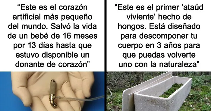 "¿Lo sabías?": 20 datos interesantes sobre el mundo que quizá no aprendiste en la escuela