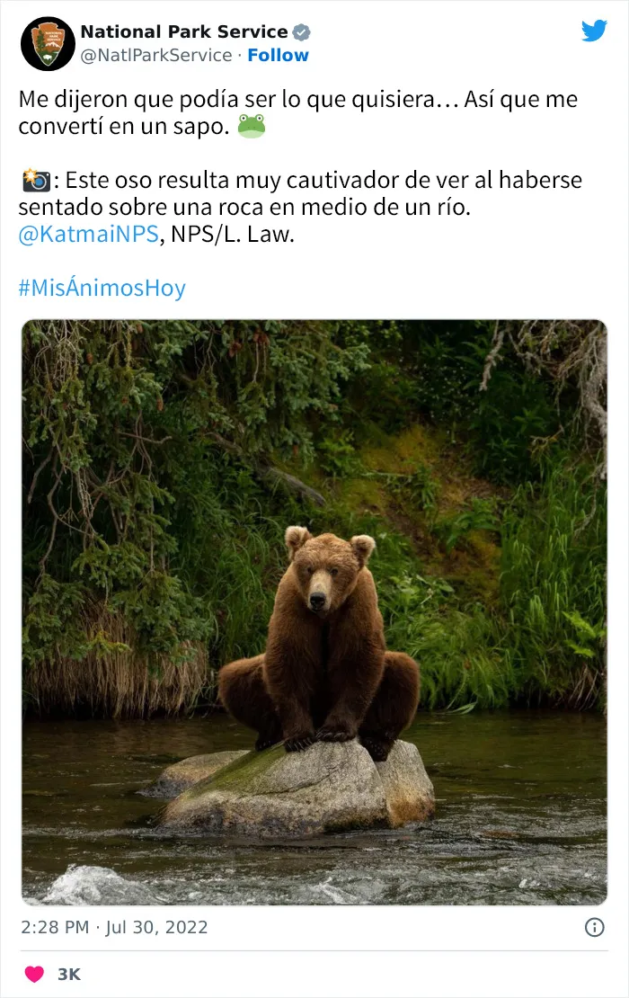 20 Tuits geniales del Servicio de Parques Nacionales que están haciendo reír a todo el mundo