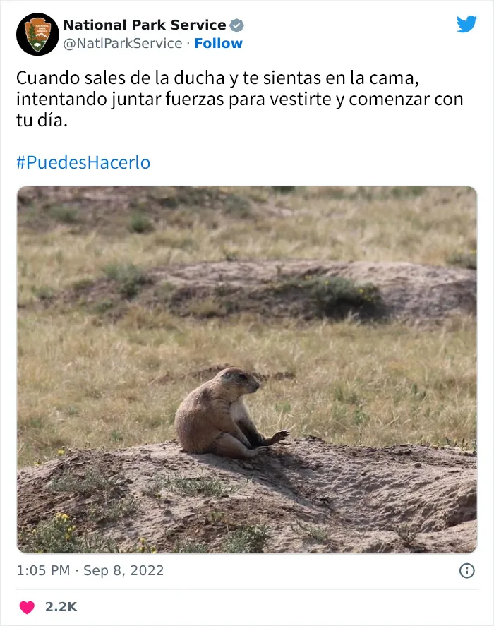 20 Tuits geniales del Servicio de Parques Nacionales que están haciendo reír a todo el mundo