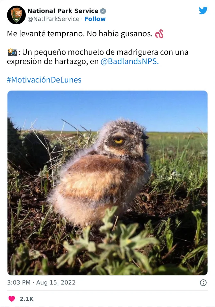 20 Tuits geniales del Servicio de Parques Nacionales que están haciendo reír a todo el mundo