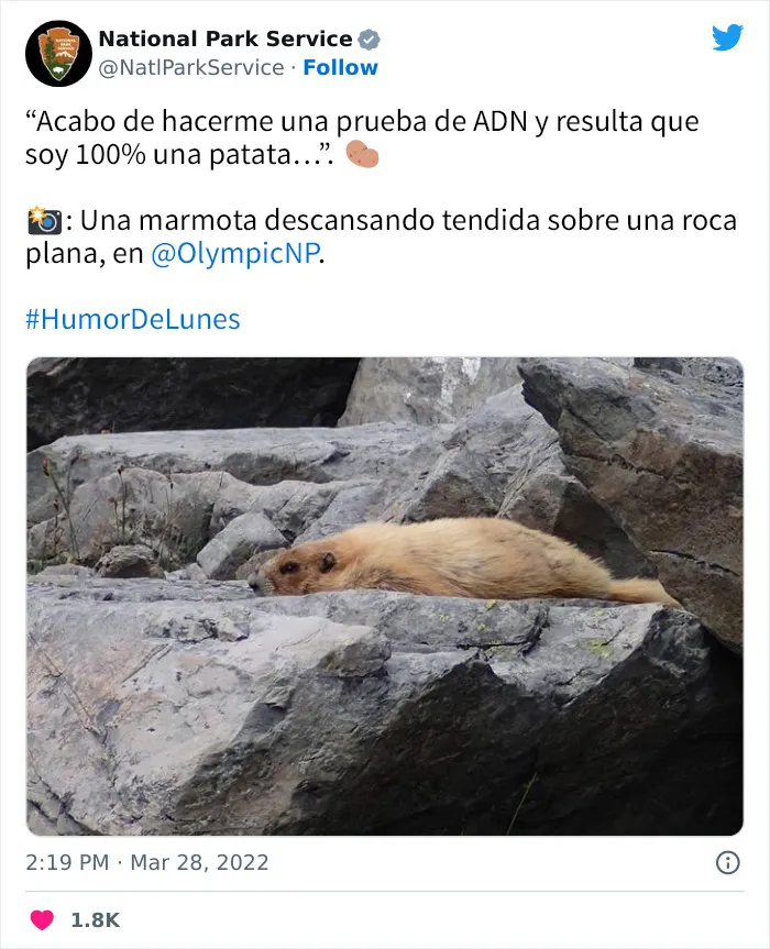 20 Tuits geniales del Servicio de Parques Nacionales que están haciendo reír a todo el mundo