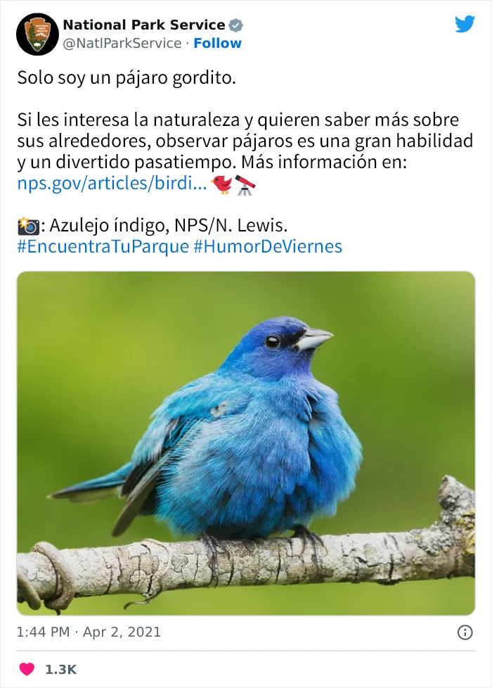20 Tuits geniales del Servicio de Parques Nacionales que están haciendo reír a todo el mundo