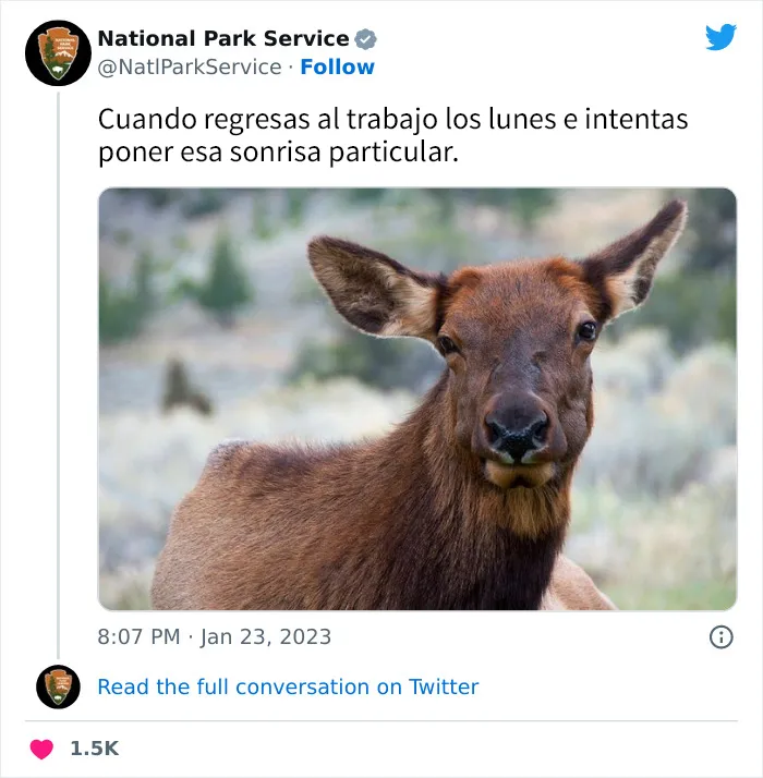 20 Tuits geniales del Servicio de Parques Nacionales que están haciendo reír a todo el mundo