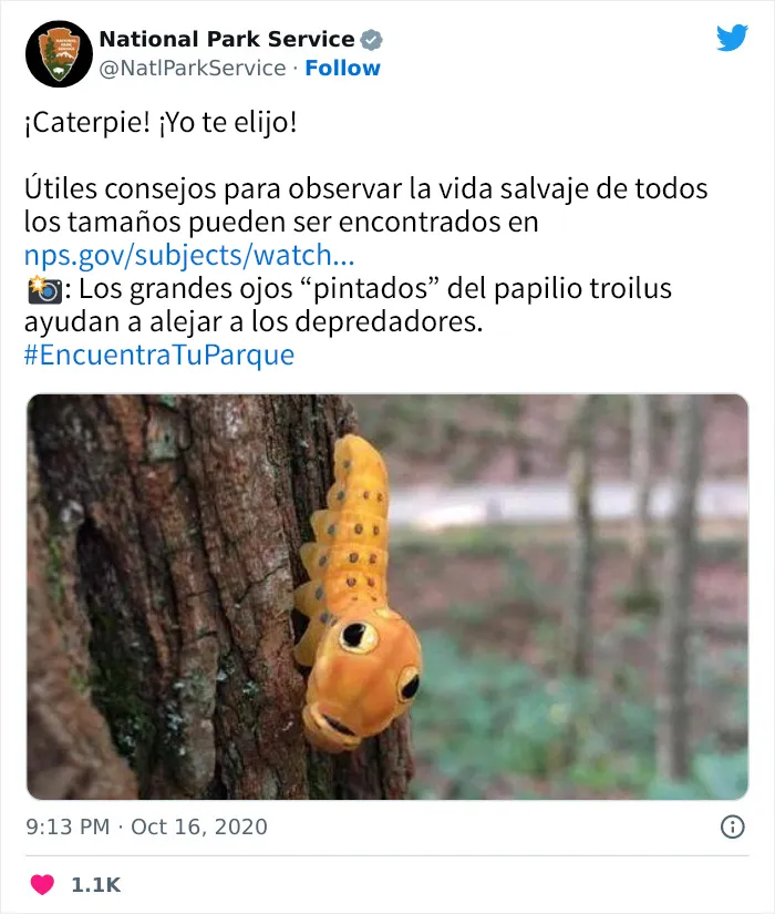 20 Tuits geniales del Servicio de Parques Nacionales que están haciendo reír a todo el mundo
