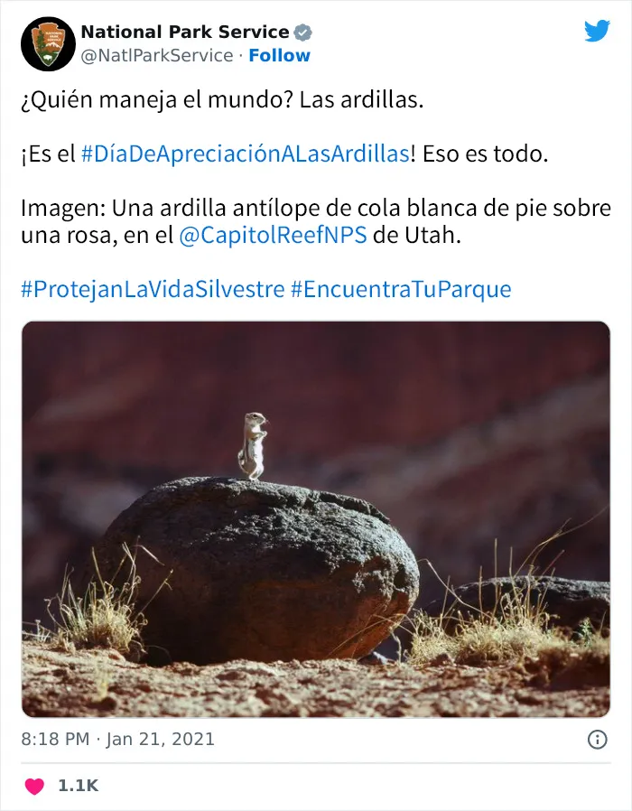 20 Tuits geniales del Servicio de Parques Nacionales que están haciendo reír a todo el mundo