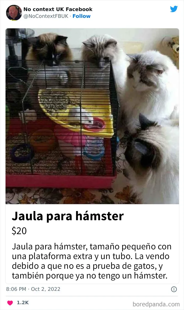 20 Imágenes divertidas de Reino Unido fuera de contexto que definen muy bien el humor británico